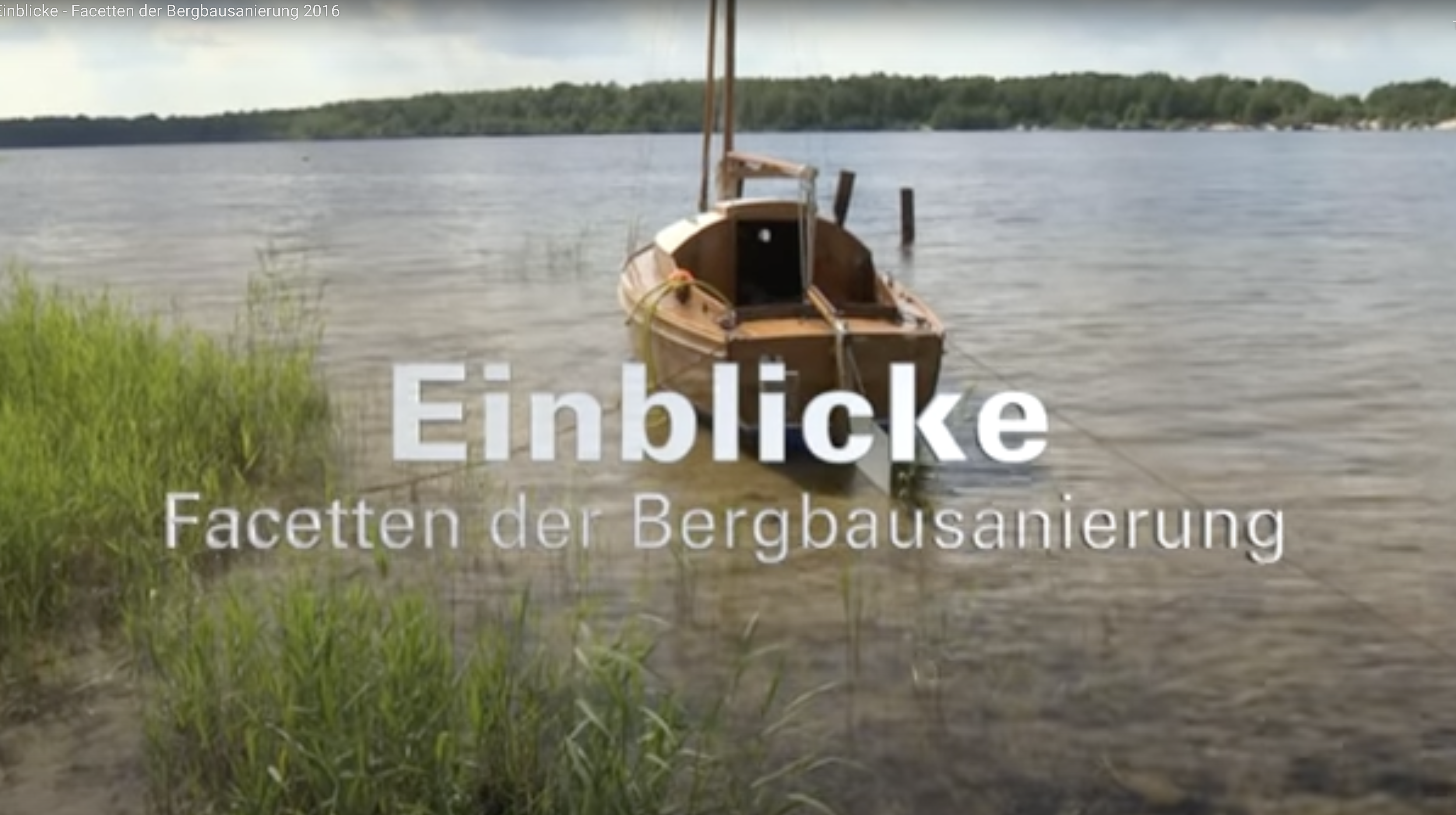 Einblicke – Facetten der Bergbausanierung 2016