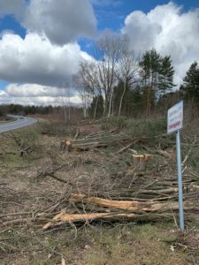 B 97 Holzung erfolgt IMG 8166H