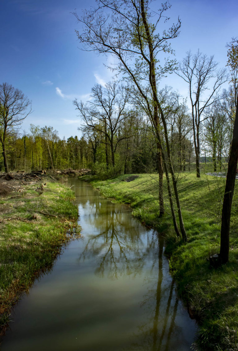 Spree Neustadt Spreewitz 20190420 klein 11