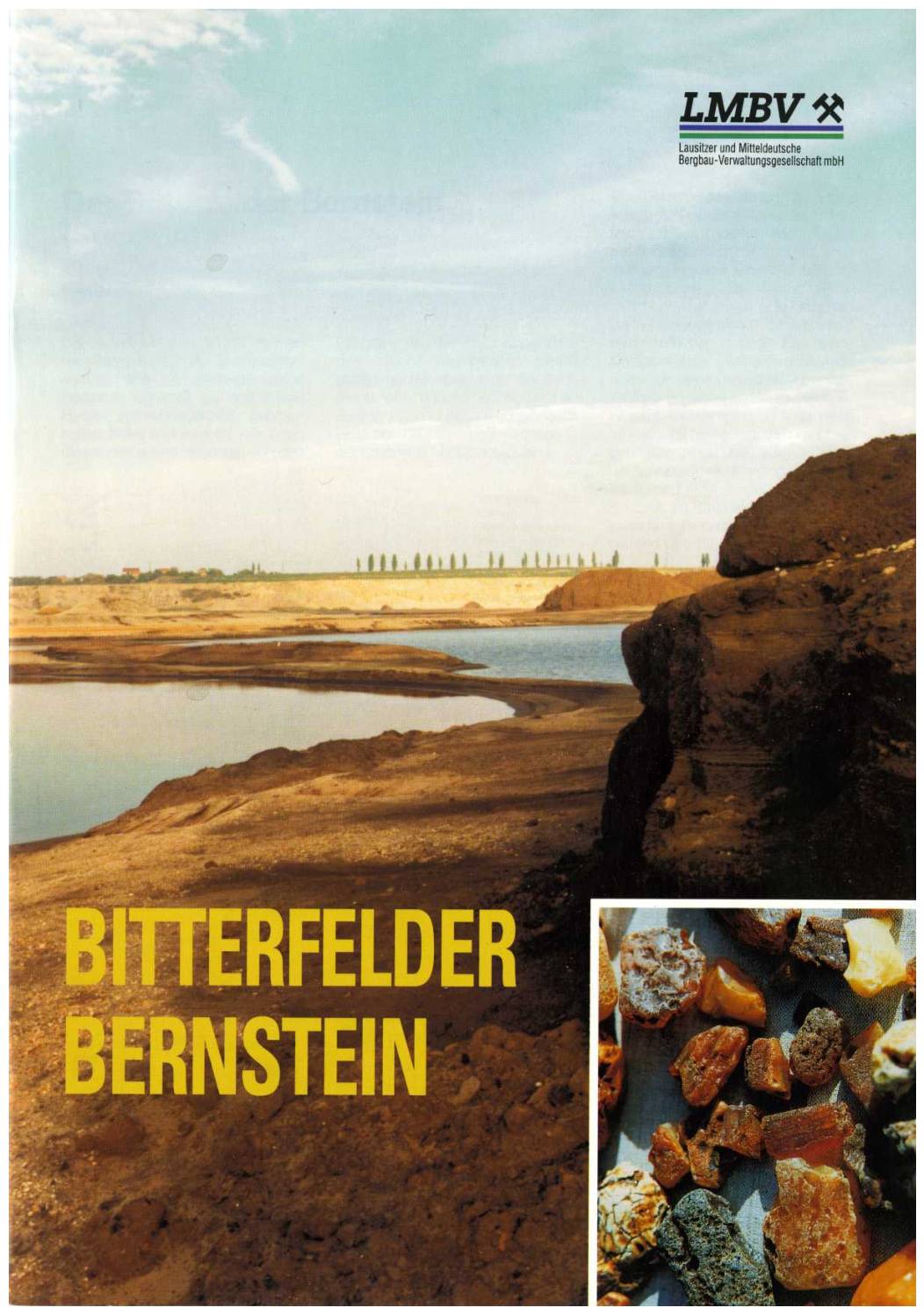 Bernstein aus Bitterfeld 1997 pdf
