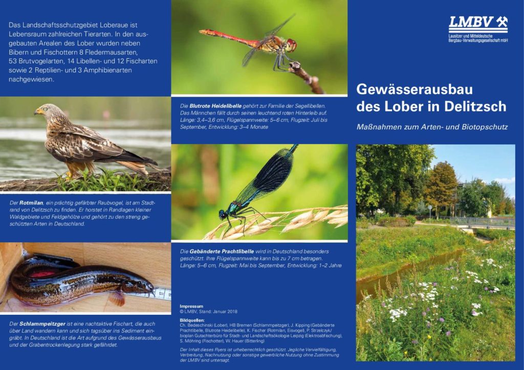 LMBV Flyer Gewaesserausbau Lober 2018022 web pdf