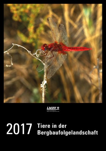 LMBV Kalender2017 pdf