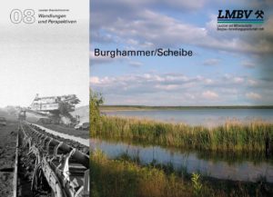 doku 08 Burghammer Scheibe pdf