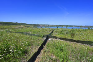 Fangkreuze und Fangeimer für Amphibien