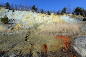 Berzdorf RutschungP Naturschutz PRA 0823