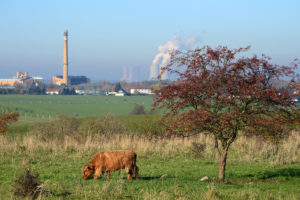 Bockwitzer See Natur 08