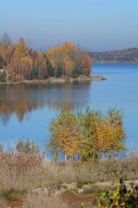 Bockwitzer See Natur 12