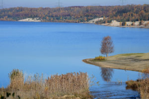 Bockwitzer See Natur 13
