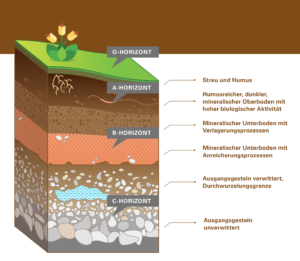 Aufbau der Bodenschichten