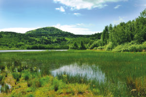 IAA BiehlataL 2016 Natur UST 6095 1