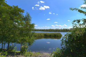 LMBV Lobstaedter Lachen Natur 4 CB