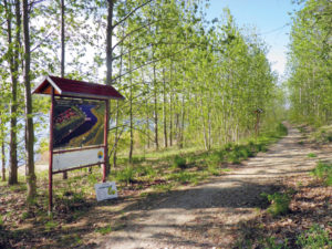 naturerlebnispfad werbener see verein freunde des werbener sees e.v. 2