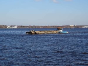 Senftenberger See Totholzbergung 20200117 DSC02006