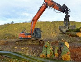 Wulfersdorf Holzung Suedwestboeschung 20191220 6 7985 06kl