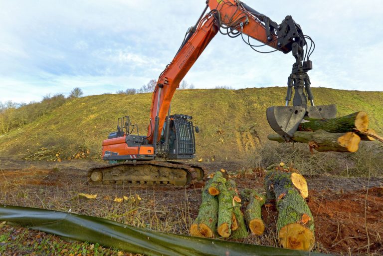 Wulfersdorf Holzung Suedwestboeschung 20191220 6 7985 06kl