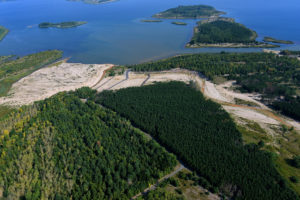 Döberner Forst am Großen Goitzschesee