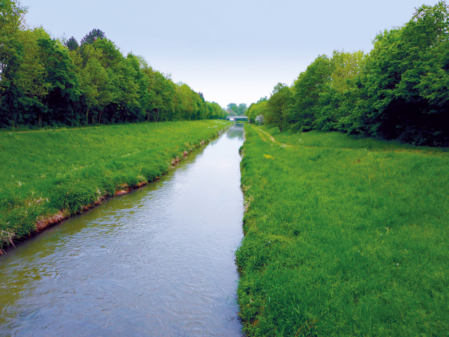 Pleißeabschnitt im Sommer