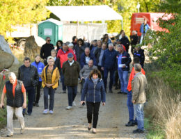 Aussichtsturm Stoentzsch Pegau 21092022 12