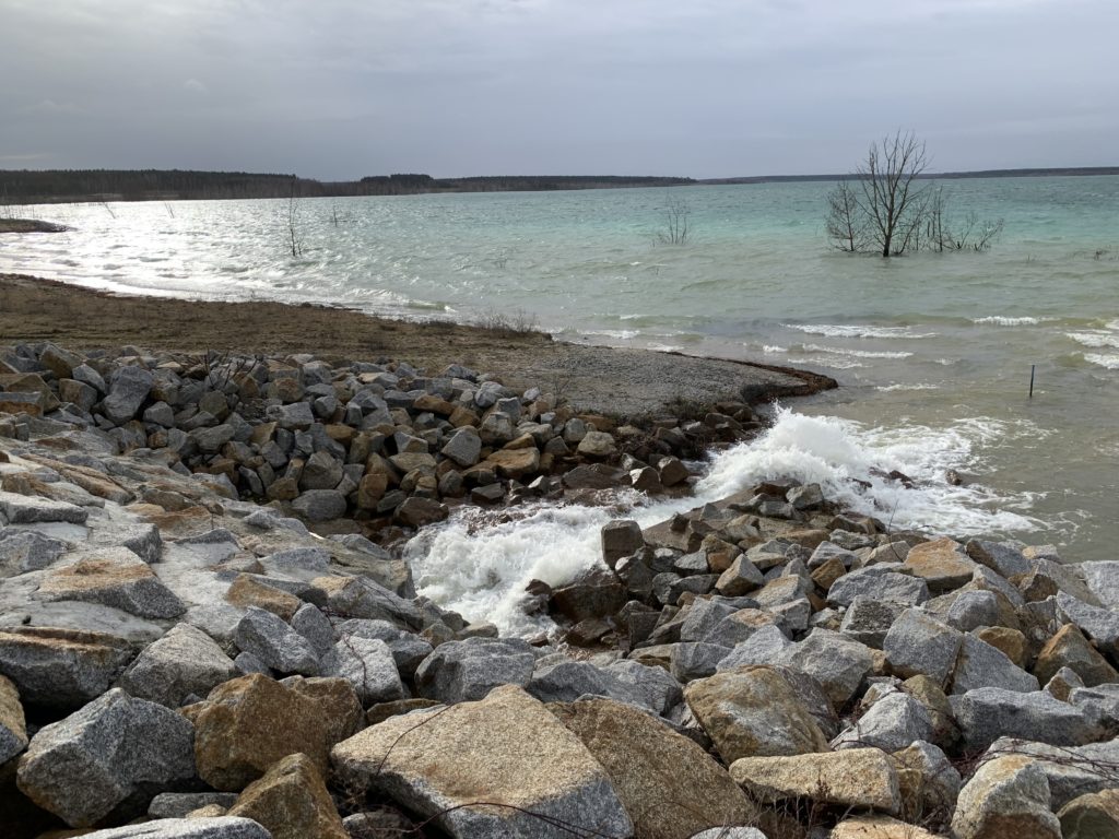 Fluten des Sedlitzer Sees Sonne Jan 2023 IMG 2106