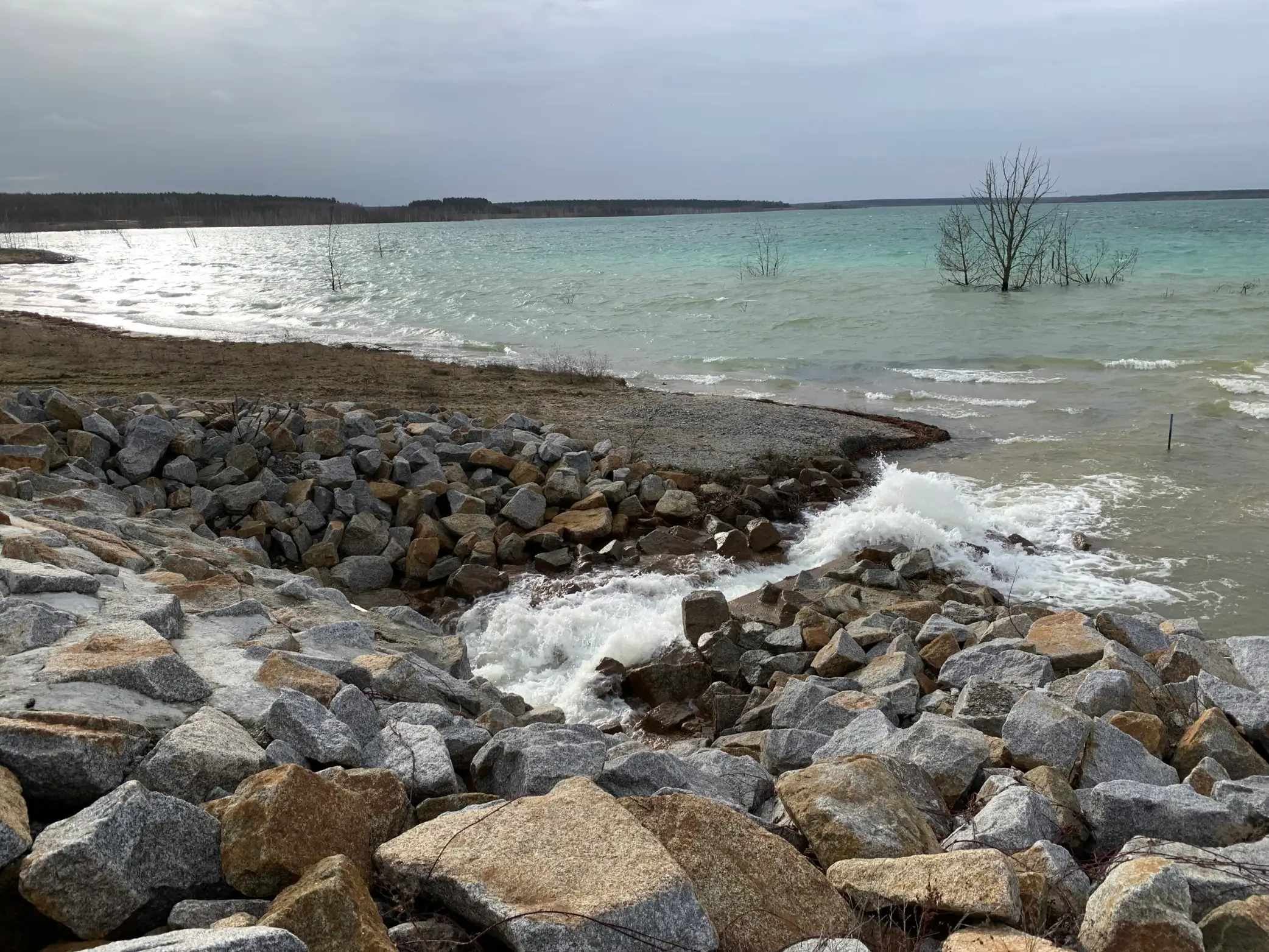 Fluten des Sedlitzer Sees Sonne Jan 2023 IMG 2106 scaled