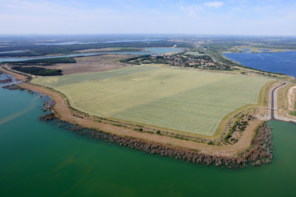 Landwirtschaftsfläche auf der Brückenfeldkippe Sedlitz von Steffen Rache für LMBV 2023