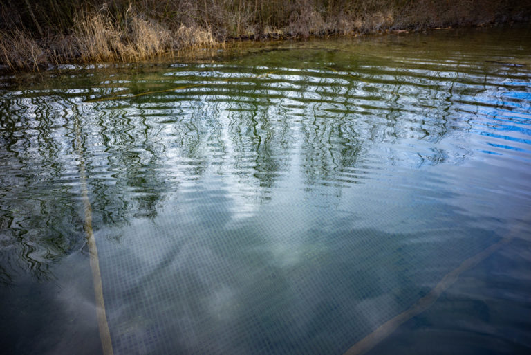2024 Geiseltalsee Verwahrung Filterbrunnen im Wasser Kortuem 7367