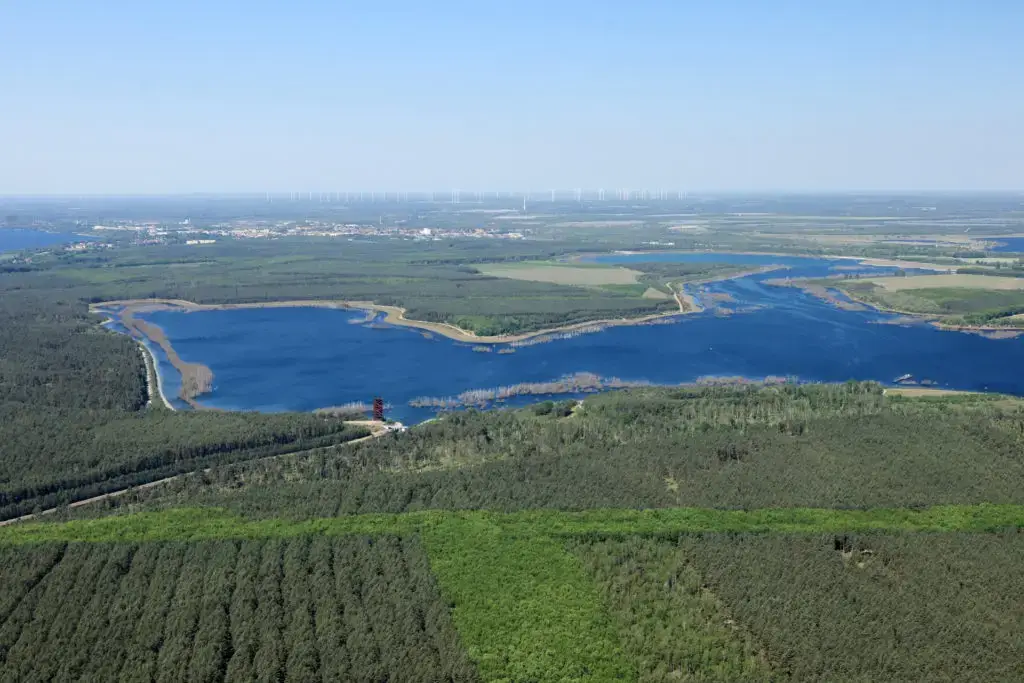 Sedlitzer See Rostiger Nagel 20240514 SR 8801