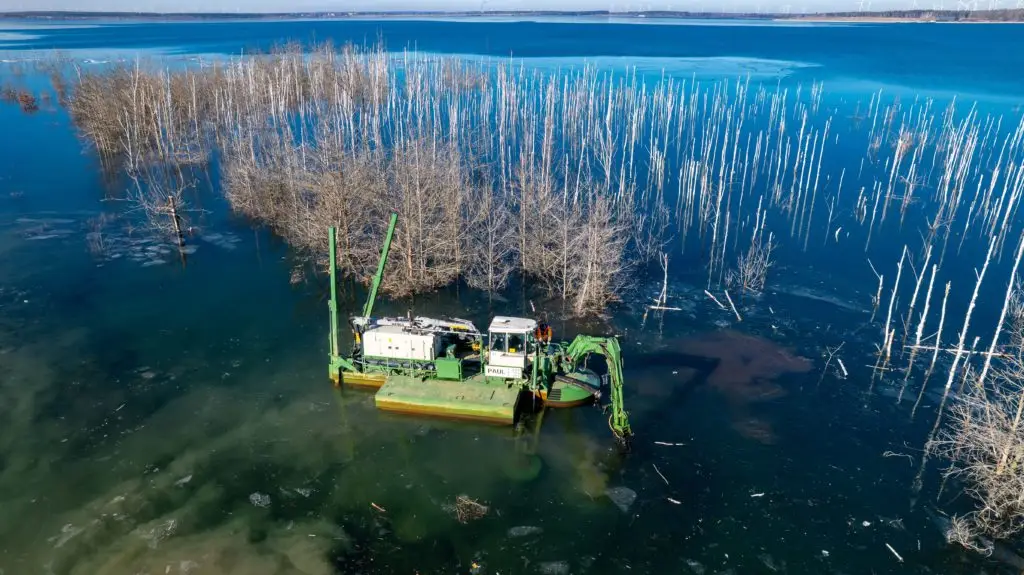 20250219 Sedlitzer See Auftakt Totoholzberaeumung Christian Horn 11 kl