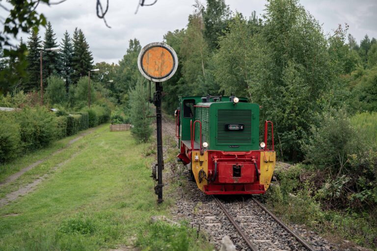Die Diesellok beim Rangieren in Regis-Breitingen.