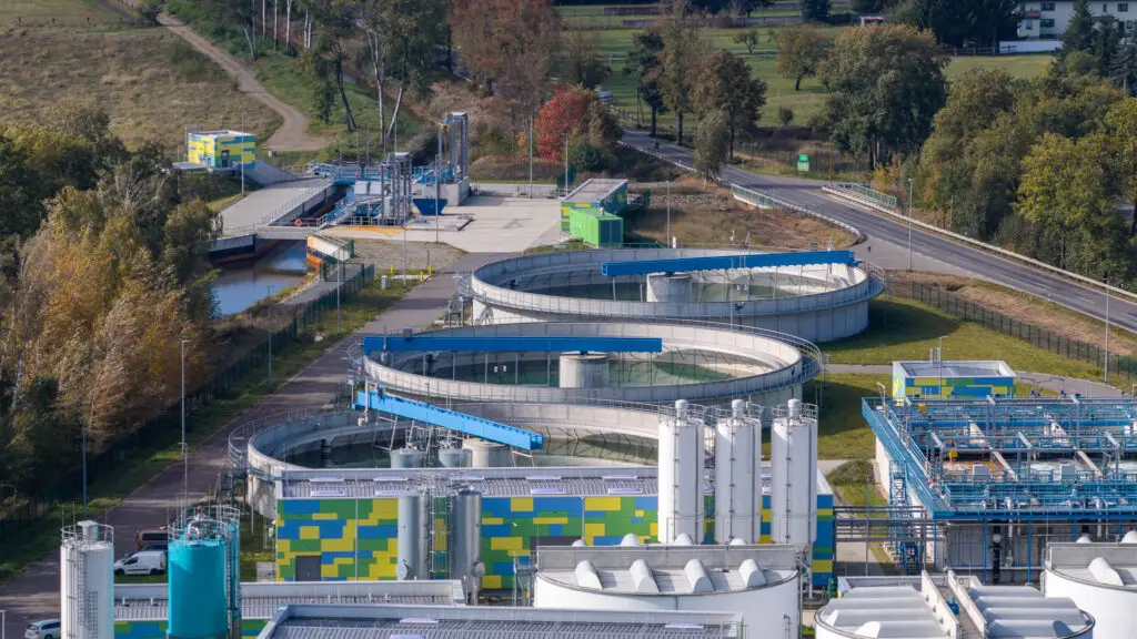 25 10 21 LMBV Plessa klein 24