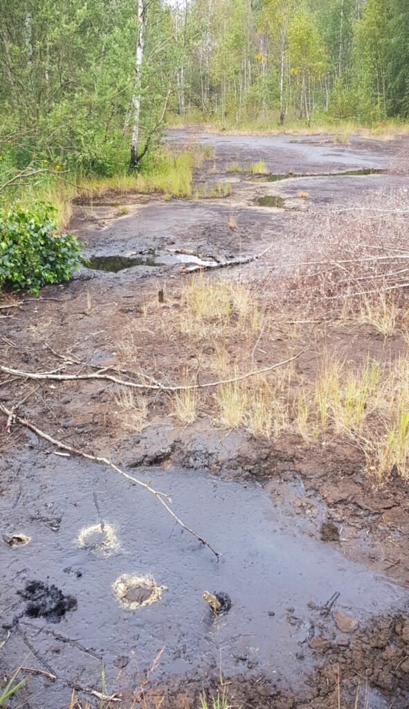 Teerschlammbecken Espenhain