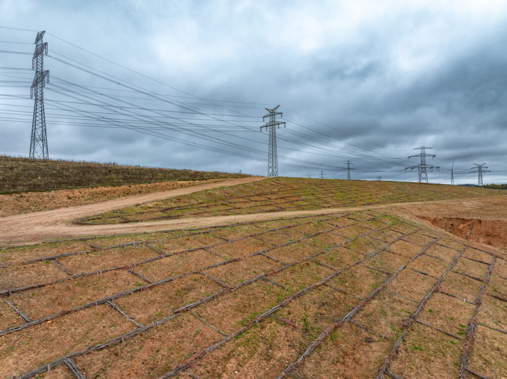 Lappwaldsee Suedwestboeschung Faschinen 0744