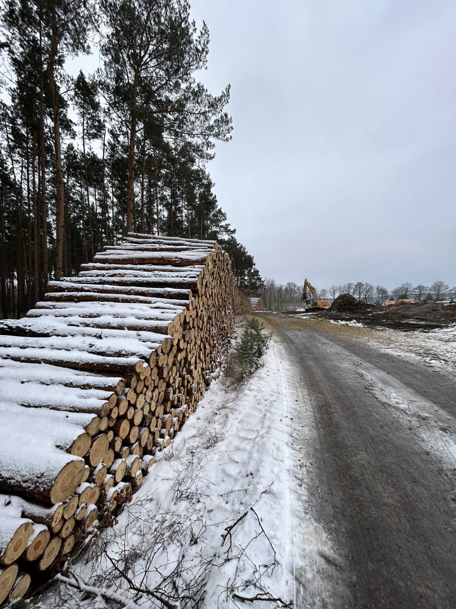 Glassandhalde Holzung Jan 2026 IMG 4568 scaled