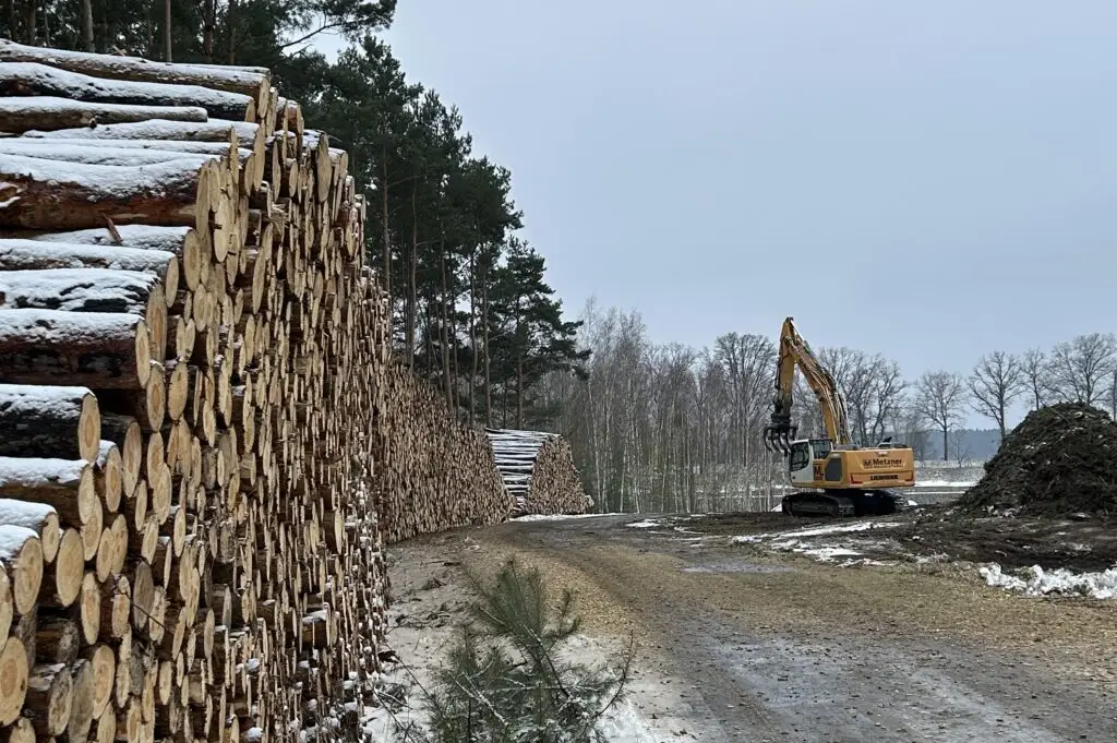 Glassandhalde Holzung Jan 2026 bearb IMG 4569