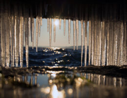 Grosser Goitzschesee Winter Natur 5
