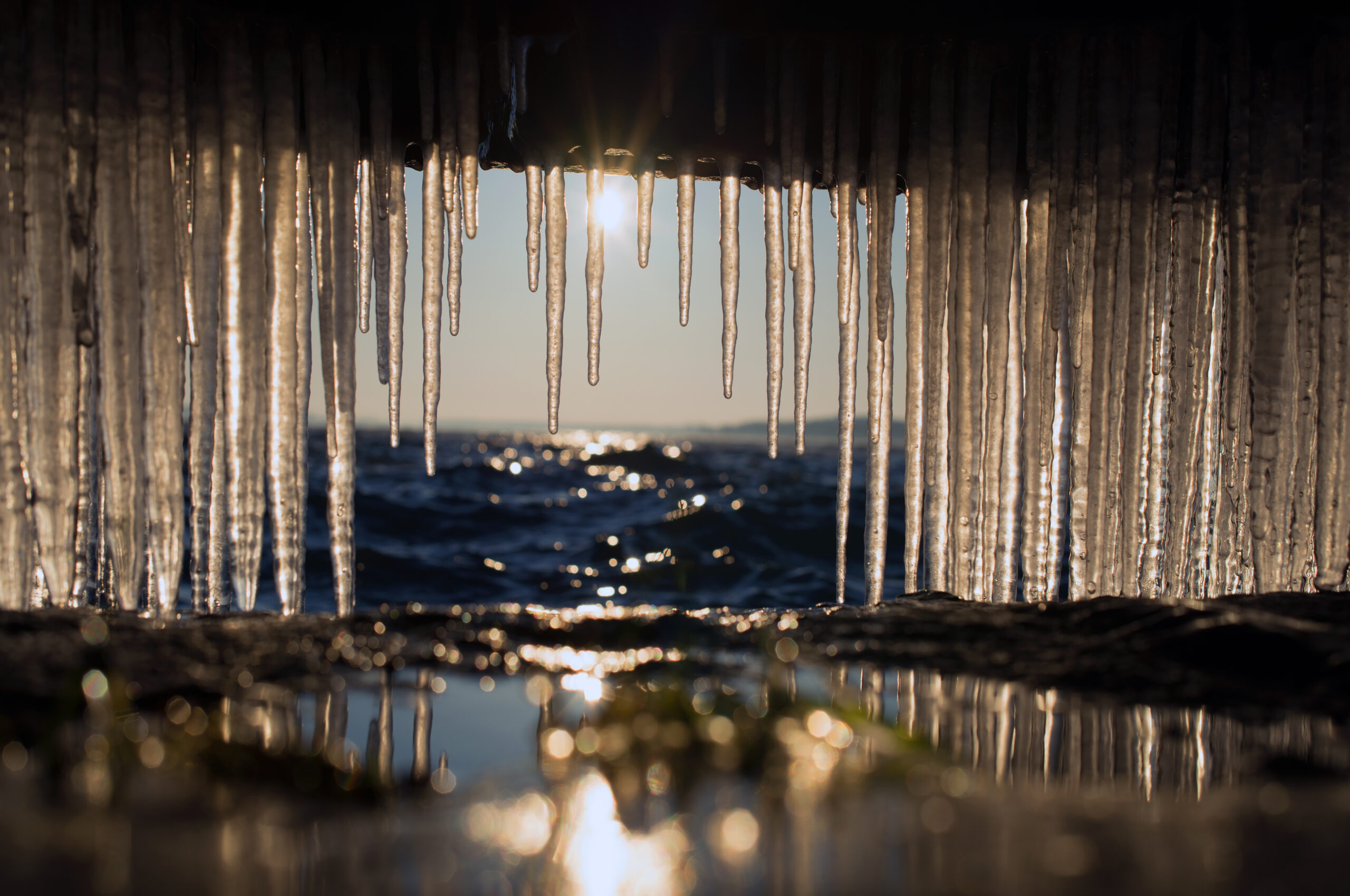 Grosser Goitzschesee Winter Natur 5 scaled
