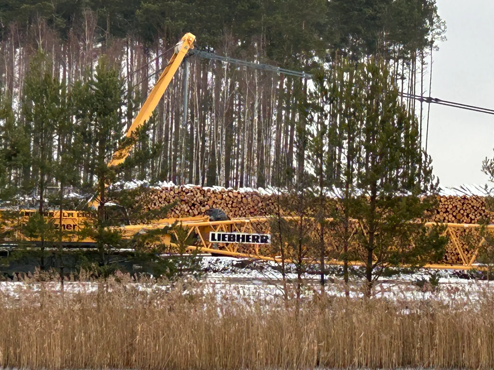 Kohlebahnausfahrt Glassandhalde RDV SeilbaggerIMG 4556 scaled