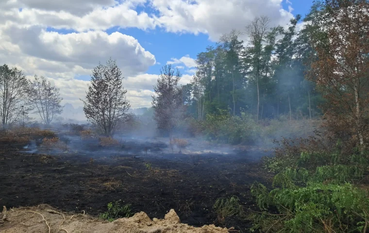 Eine Aufnahme von der brennenden Fläche am Kohletrübebecken vom 3.7.2026. (Foto: LMBV)